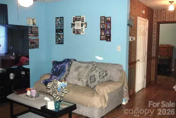 a living room with furniture flowerpot and a chandelier