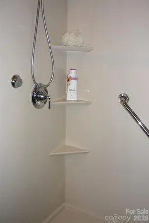 a bathroom with a shower and toilet