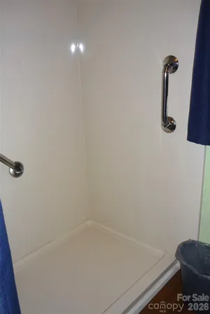 a bathroom with a sink vanity mirror and shower
