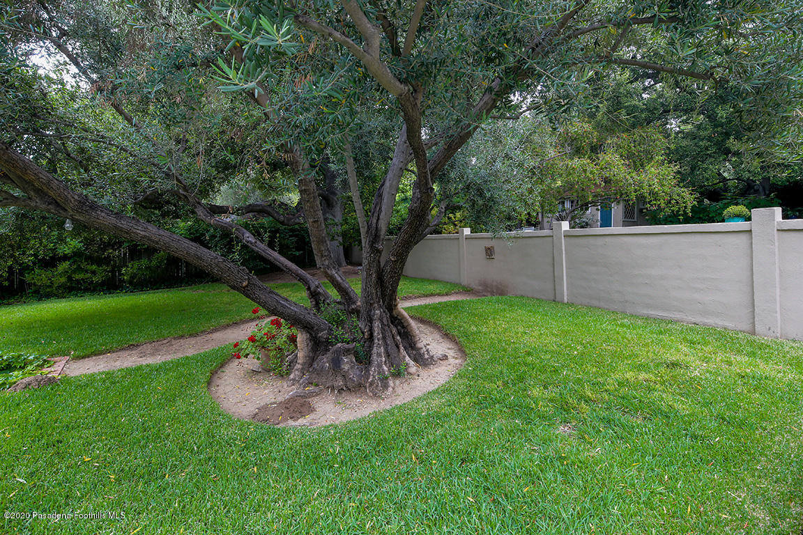 1987 Braeburn Road Altadena, CA 91001 - Photo 33 of 48 a view of a garden with a tree