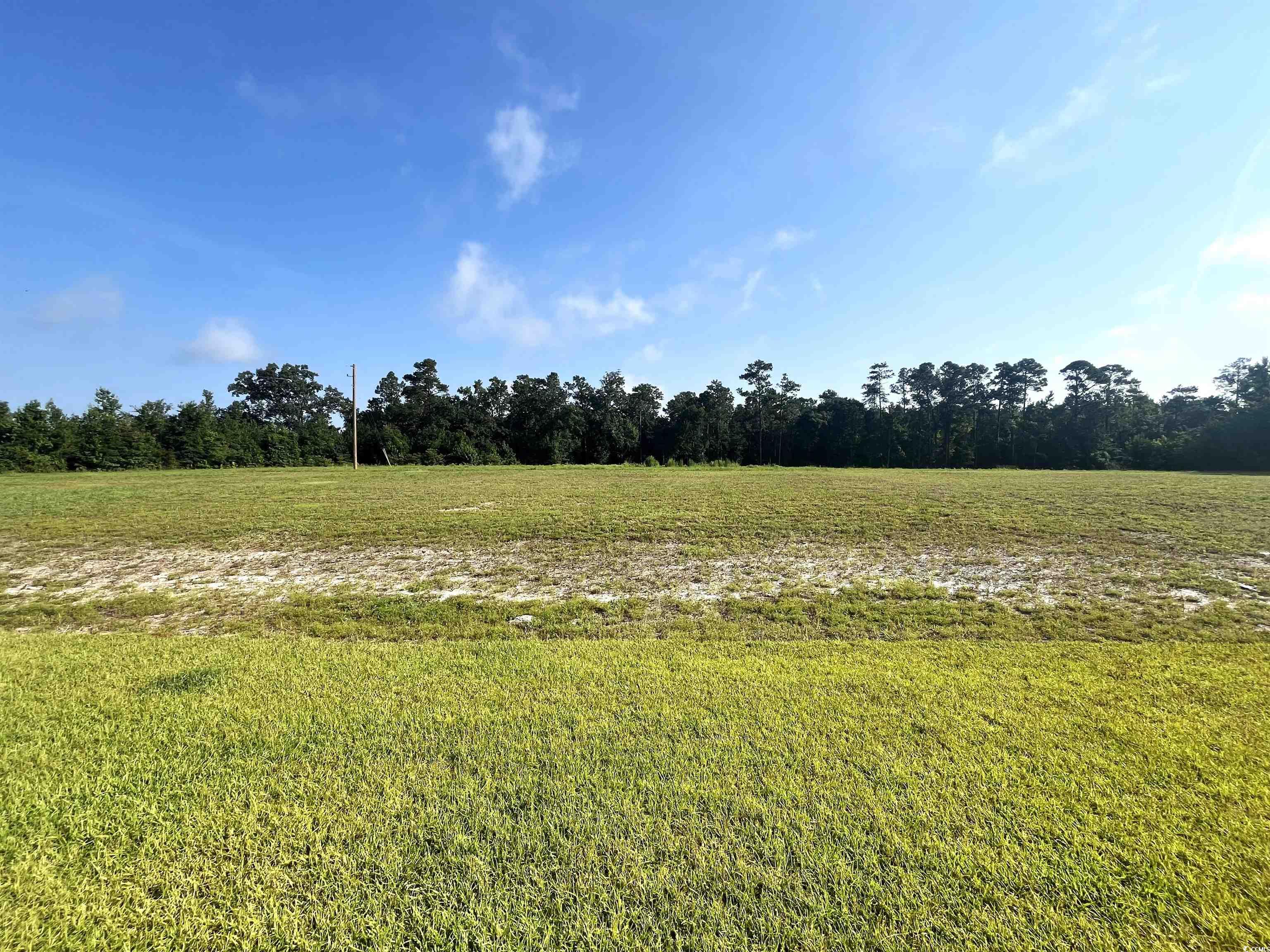 1174 St John Road Galivants Ferry, SC 29544 - Photo 22 of 22 View of local wilderness