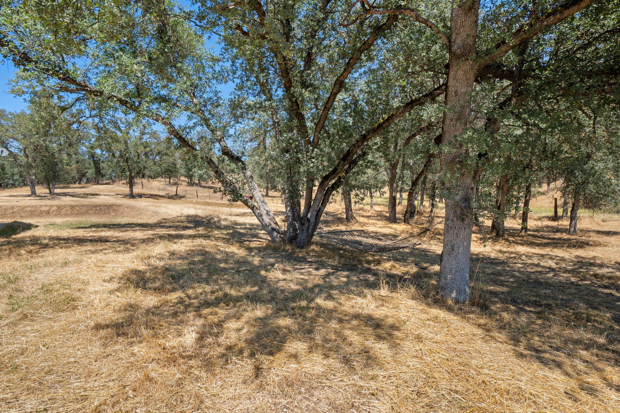 10753 French Creek Road Palo Cedro, CA 96073 - Photo 36 of 60 Land