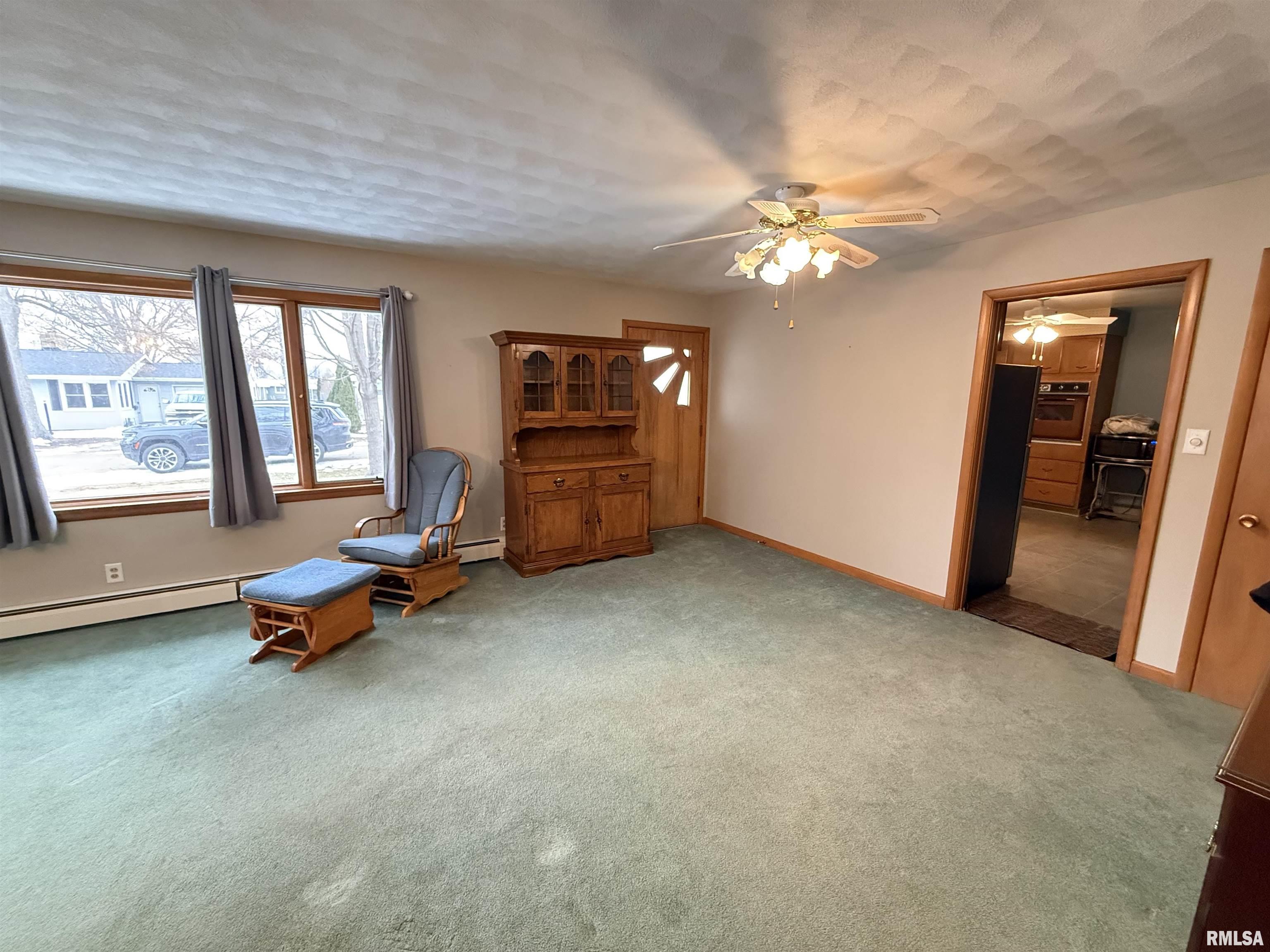 305 Madison Street Varna, IL 61375 - Photo 5 of 25