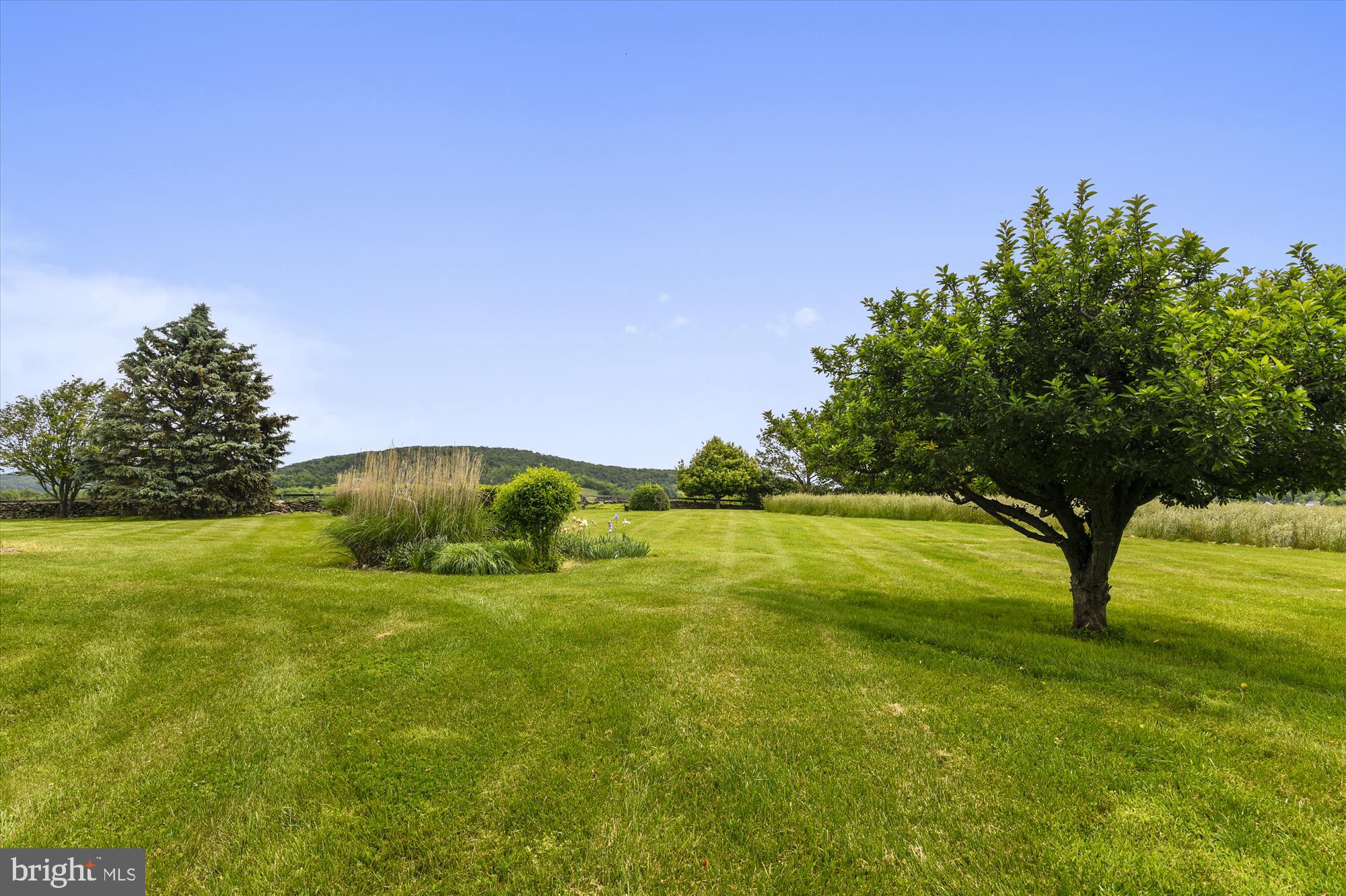 14908 Cider Mill Road Purcellville, VA 20132 - Photo 32 of 52 Yard/Views