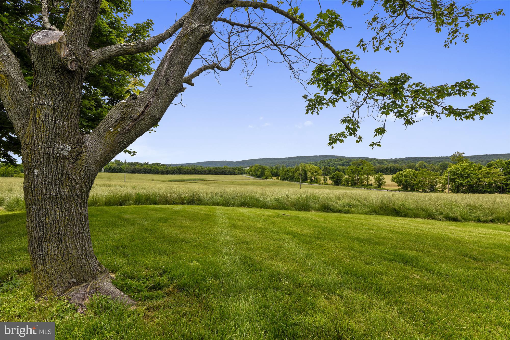 14908 Cider Mill Road Purcellville, VA 20132 - Photo 34 of 52 Views