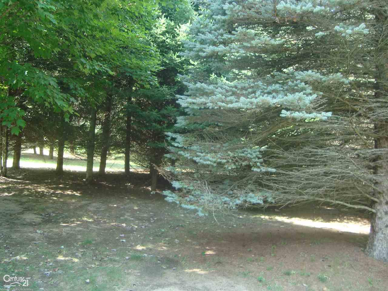 1390 West Youngs Road Gladwin, MI 48624 - Photo 48 of 75