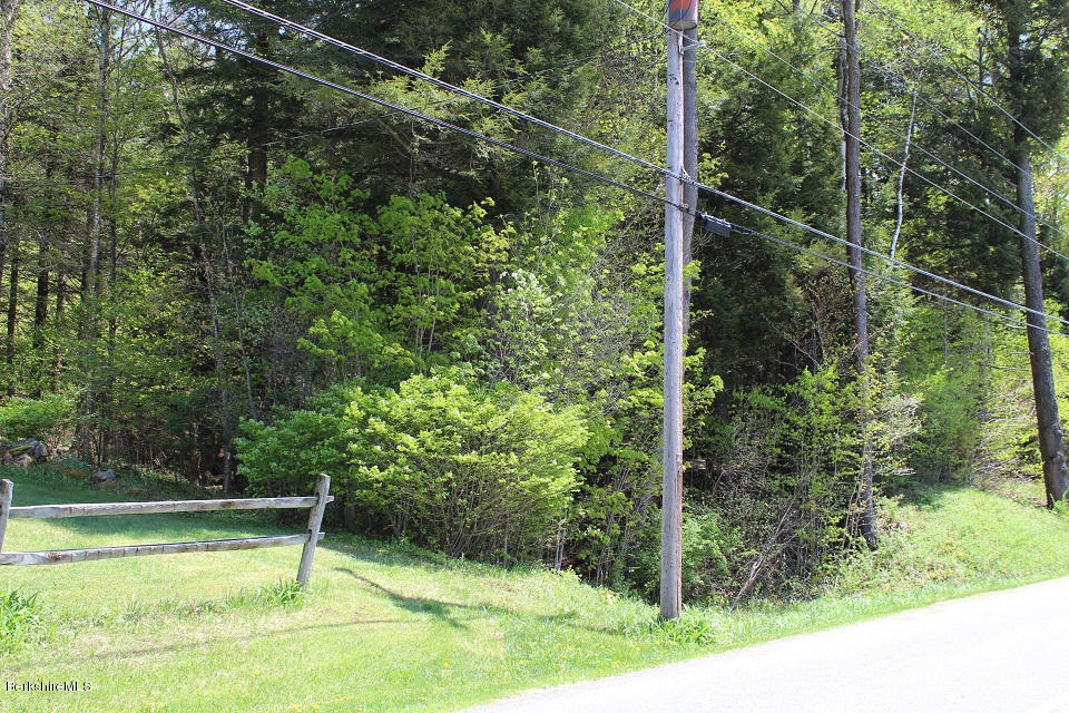 161 Main Road Tyringham, MA 01264 - Photo 11 of 15 a view of a yard with a small pool