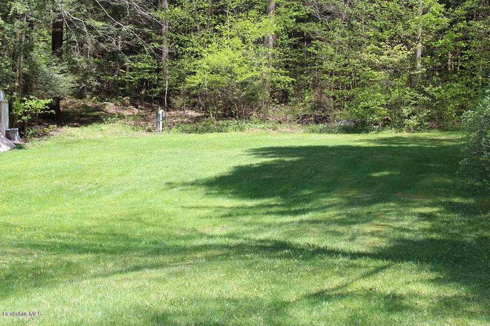 161 Main Road Tyringham, MA 01264 - Photo 13 of 15 a view of a trees in a yard