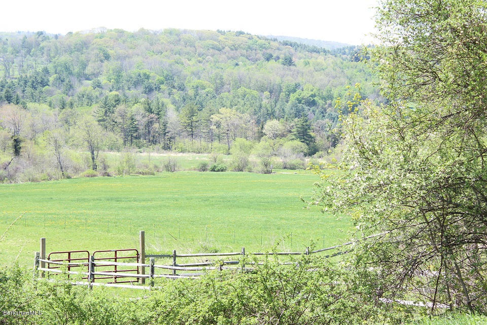 161 Main Road Tyringham, MA 01264 - Photo 3 of 15 a view of a garden with an outdoor space