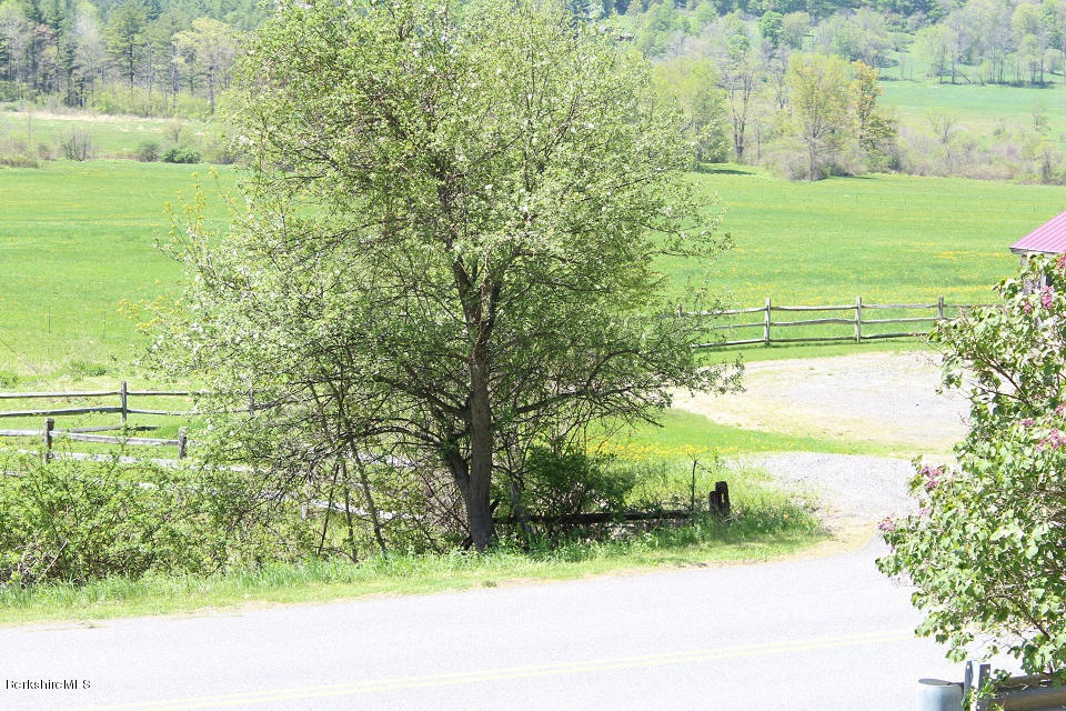 161 Main Road Tyringham, MA 01264 - Photo 4 of 15 a view of a yard with an trees