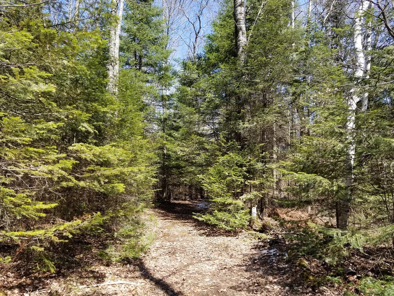 Lot 1 Mays Road Mercer, WI 54547 - Photo 21 of 27 Gallery Image 21