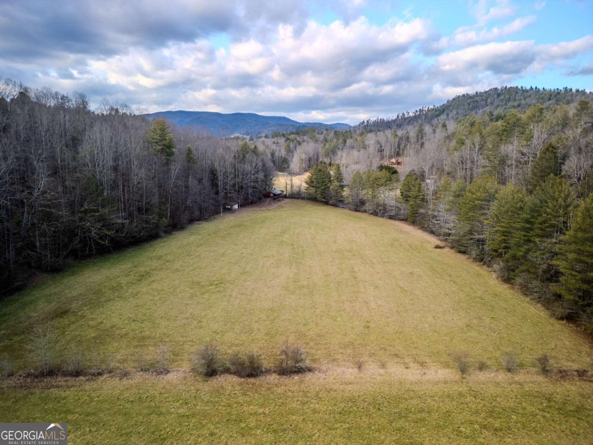 3771 Gates Chapel Road Ellijay, GA 30540 - Photo 12 of 12 a view of a yard