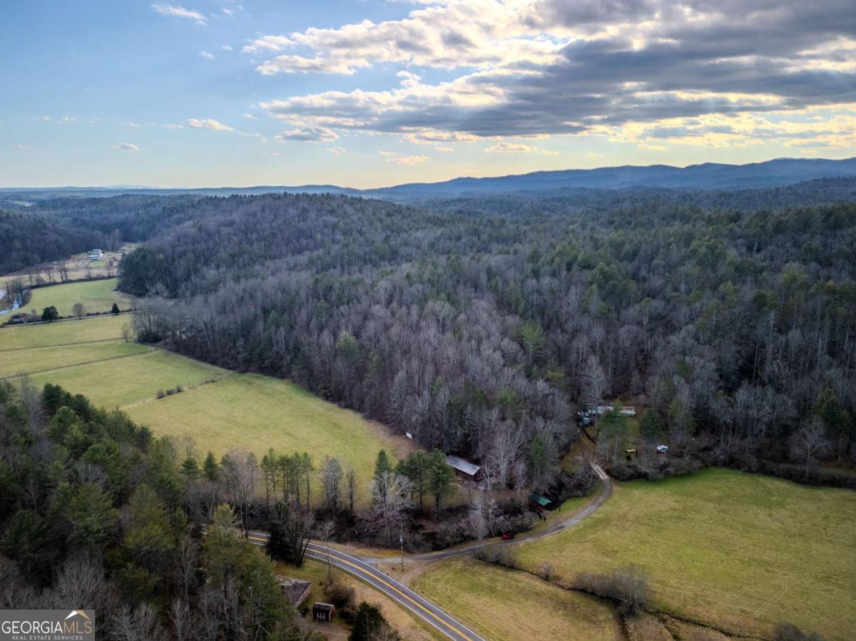 3771 Gates Chapel Road Ellijay, GA 30540 - Photo 3 of 12 a view of a backyard with green space