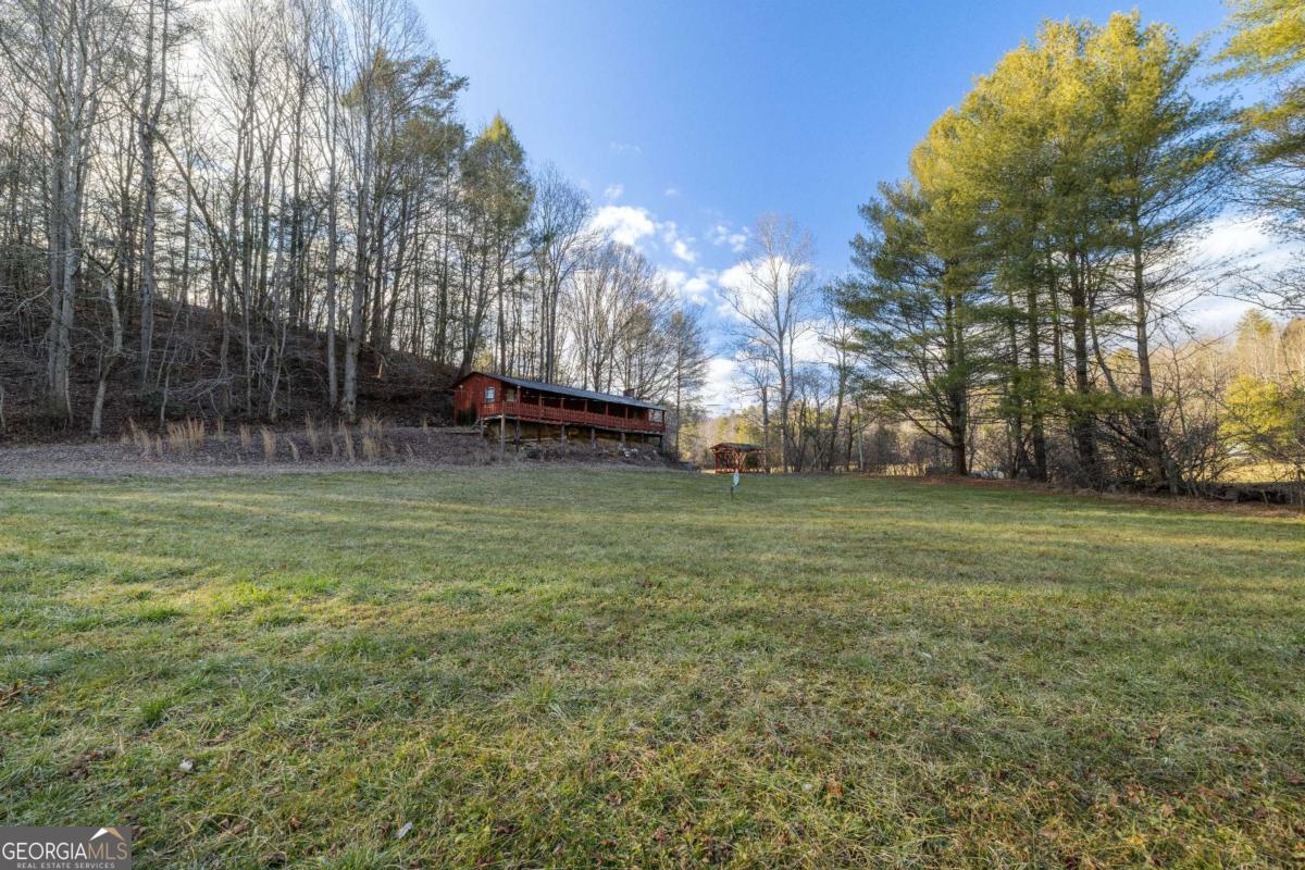 3771 Gates Chapel Road Ellijay, GA 30540 - Photo 4 of 12 a view of a park with large trees