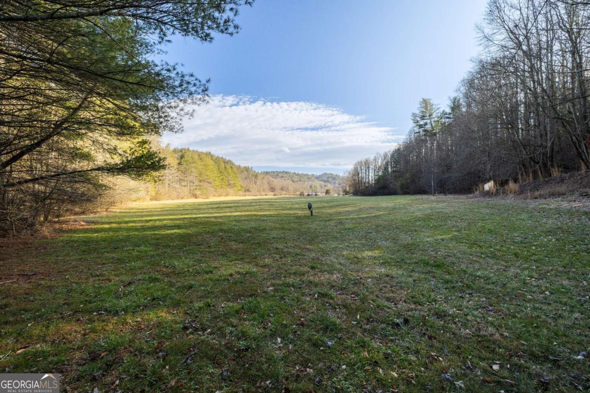 3771 Gates Chapel Road Ellijay, GA 30540 - Photo 9 of 12 a view of a field with an trees