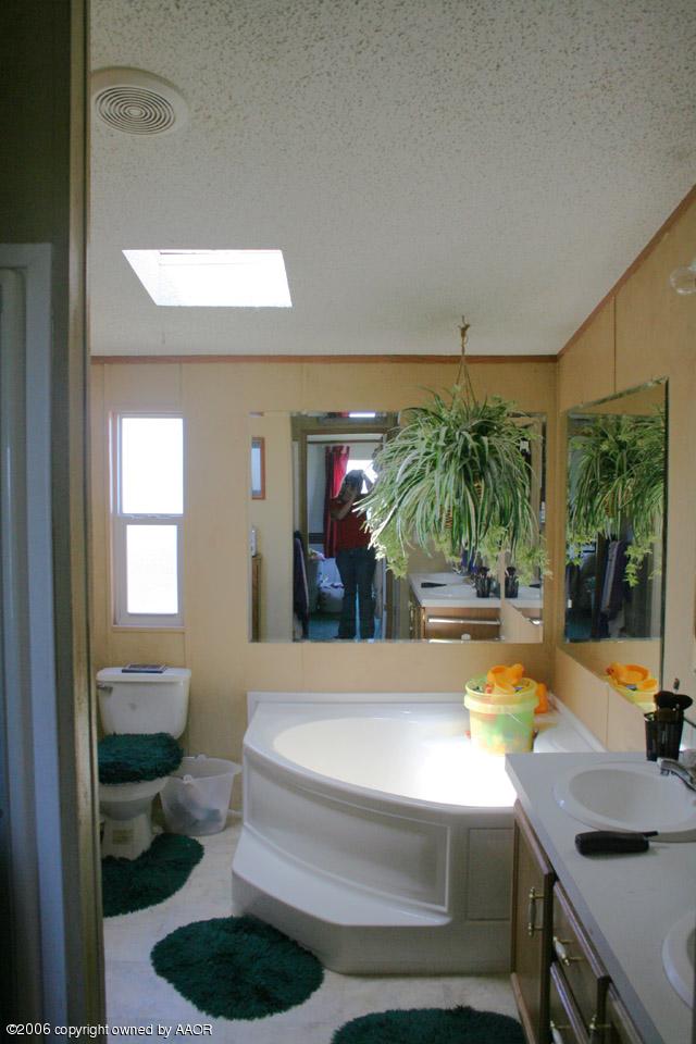 11700 West Dowlen Road Happy, TX 79042 - Photo 5 of 9 Master Bath