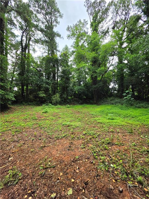 618 Simone Way Stone Mountain, GA 30087 - Photo 7 of 11 a view of a garden with a tree