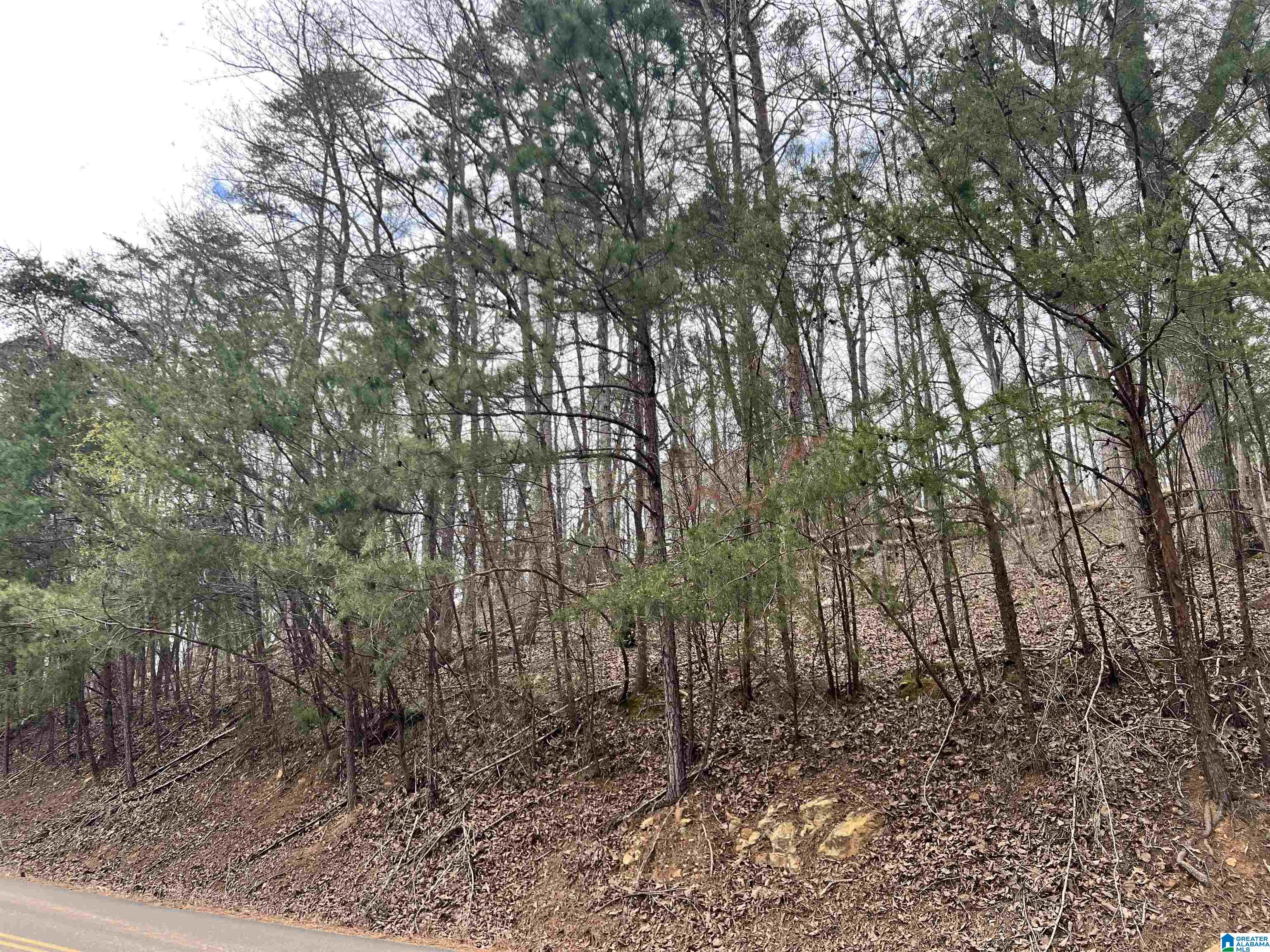 5600 Miles Spring Road, Unit 5600 Pinson, AL 35126 - Photo 2 of 5