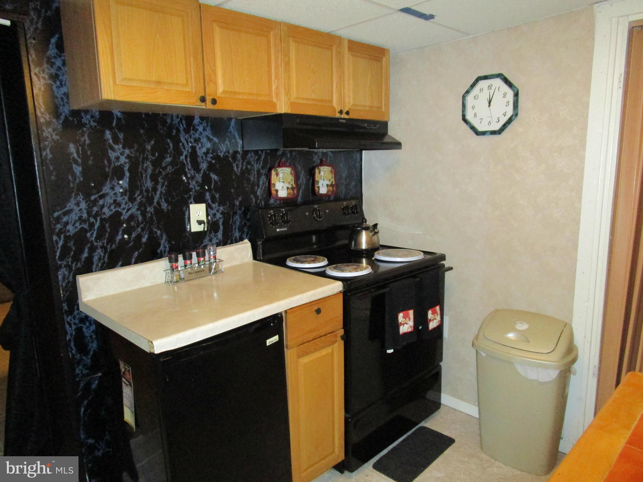 8527 Oak Road Baltimore, MD 21234 - Photo 26 of 29 Basement Kitchenette