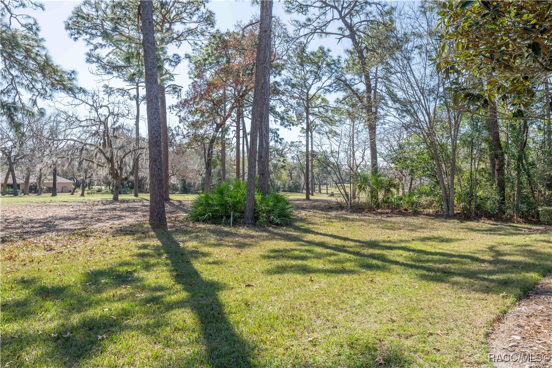 35 Beech Street, Unit 26 Homosassa, FL 34446 - Photo 28 of 31