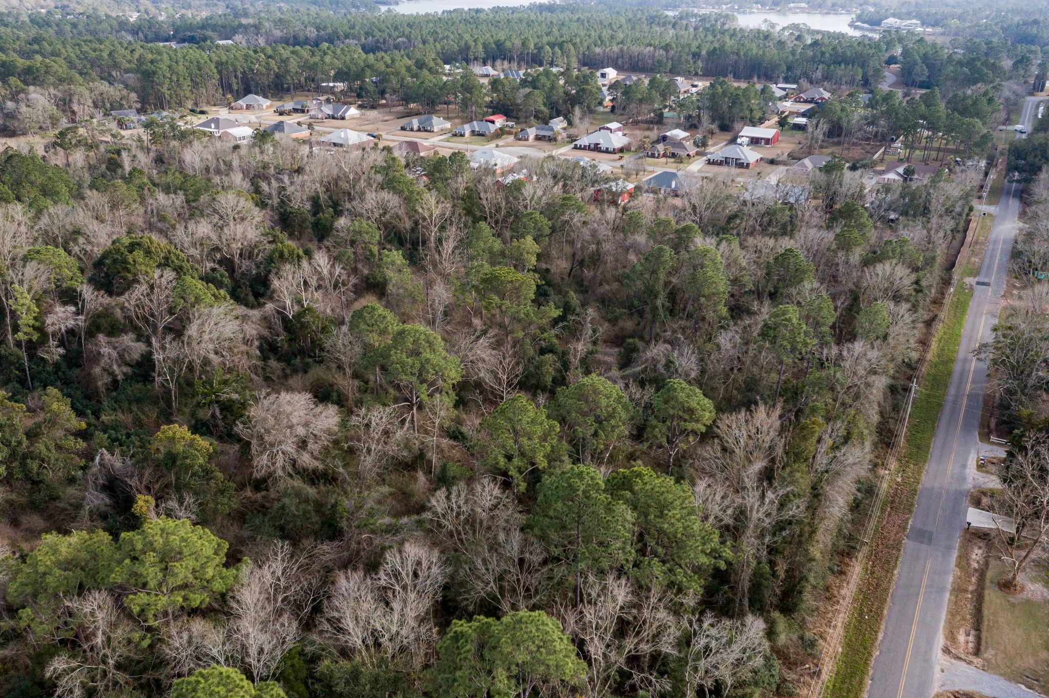 24060 Miflin Road Elberta, AL 36530 - Photo 6 of 18