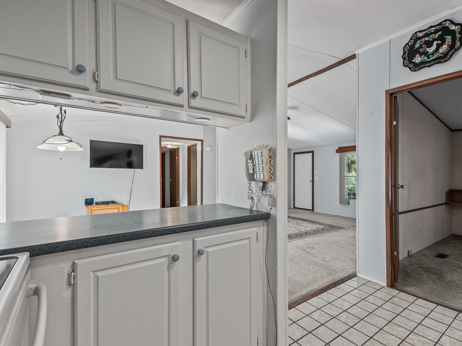 22825 Nutall Rise Road Lamont, FL 32336 - Photo 40 of 47