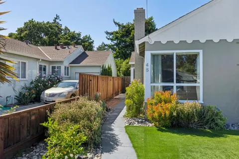 a garden with plants in front of it