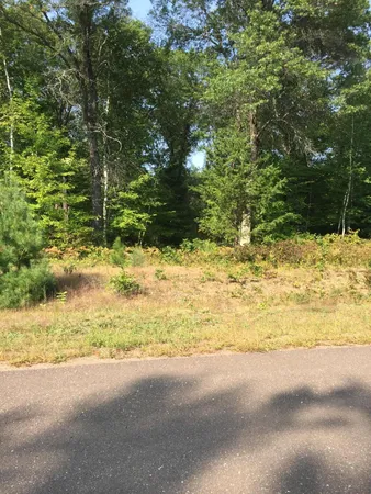 $37,900 | Lot 18 Shady Lane, Siren, WI 54872