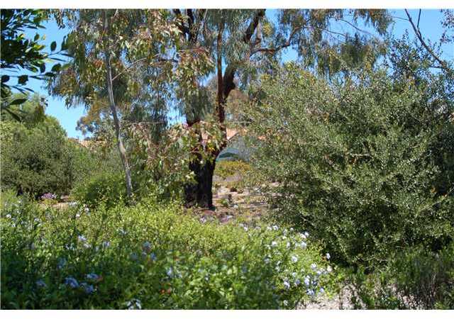 3757 Via Del Rancho Oceanside, CA 92056 - Photo 11 of 12 View from backyard