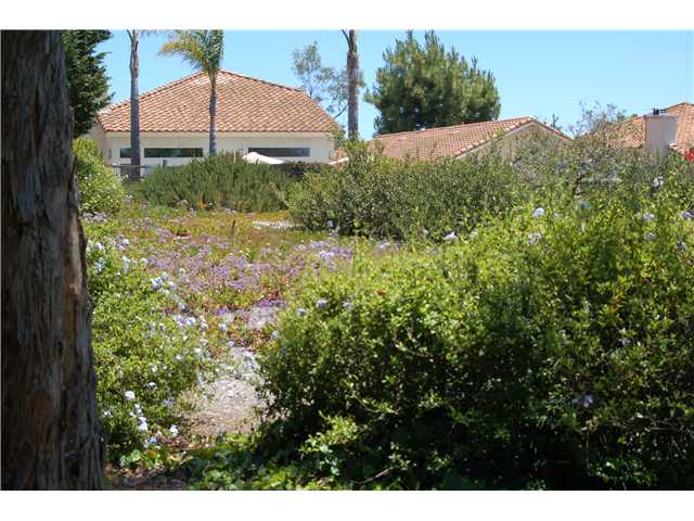 3757 Via Del Rancho Oceanside, CA 92056 - Photo 9 of 12 Open space view from backyard