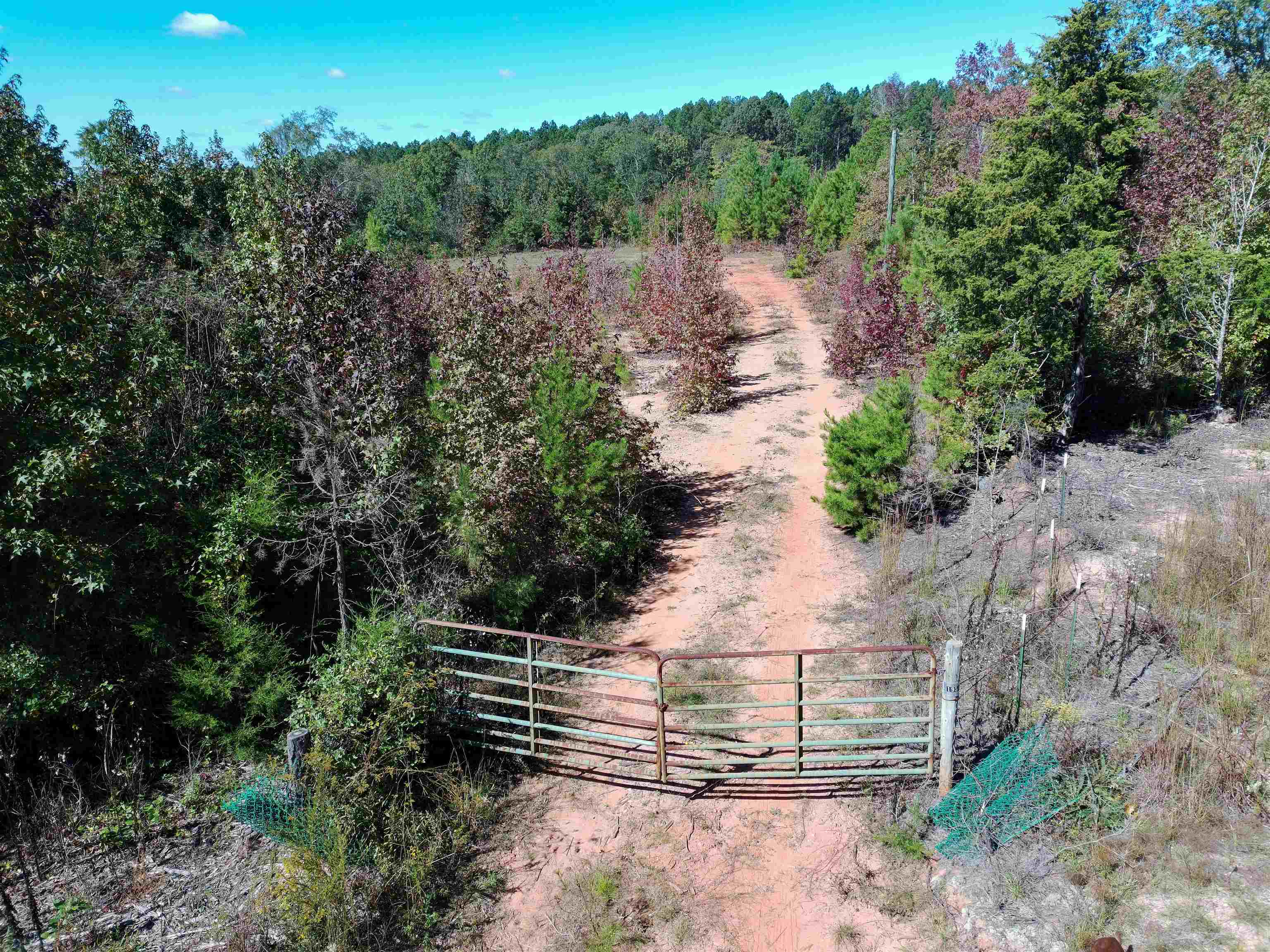 1950 State Rd S-42-396 Enoree, SC 29335 - Photo 3 of 9