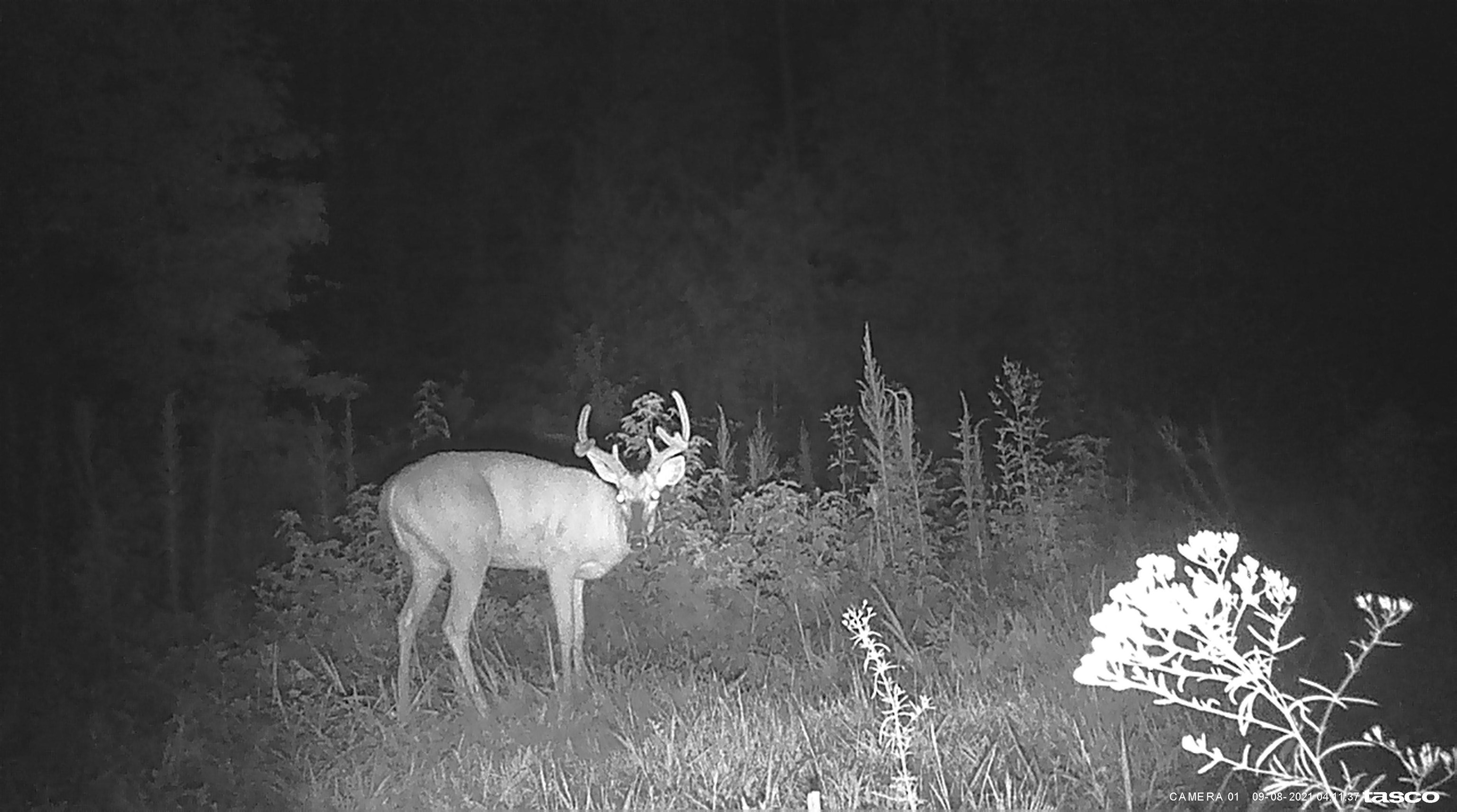 1950 State Rd S-42-396 Enoree, SC 29335 - Photo 5 of 9