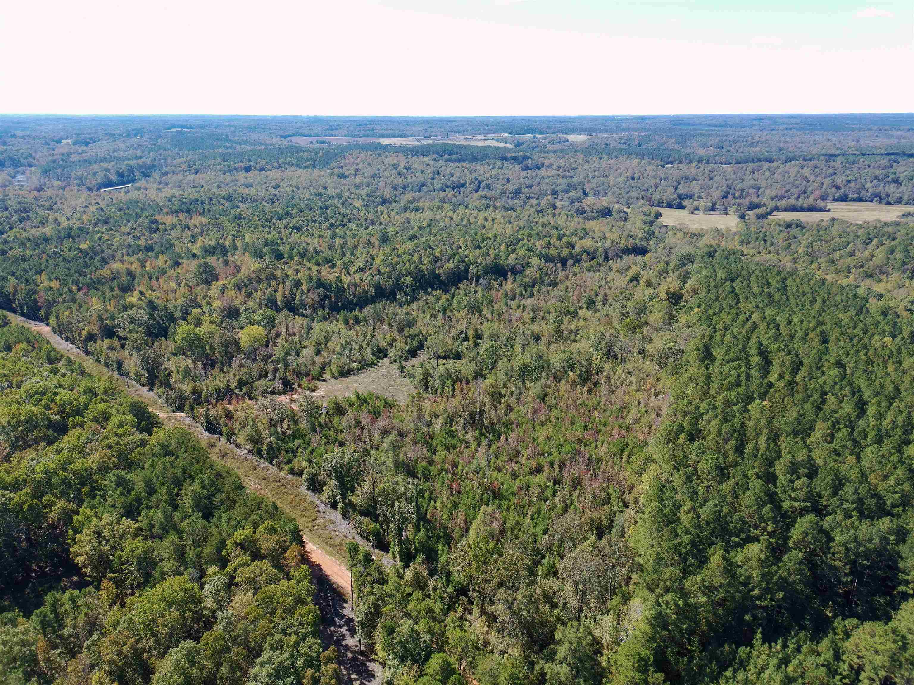 1950 State Rd S-42-396 Enoree, SC 29335 - Photo 7 of 9