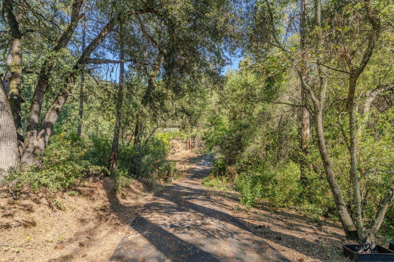 6240 Michel Road Mountain Ranch, CA 95246 - Photo 73 of 92