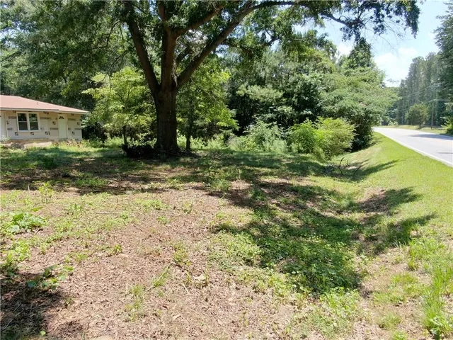a view of a yard with plants and large trees