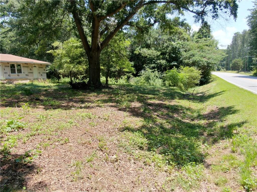 8916 Highway 166 Winston, GA 30187 - Photo 3 of 52 a view of a yard with plants and large trees