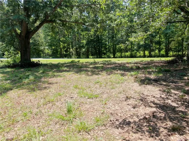 a view of a field with trees in the background
