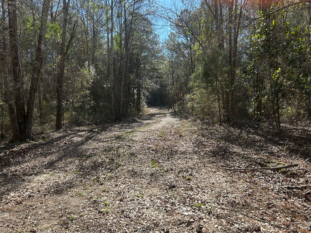 11034-11134 Cty Road Slocomb, AL 36375 - Photo 41 of 80