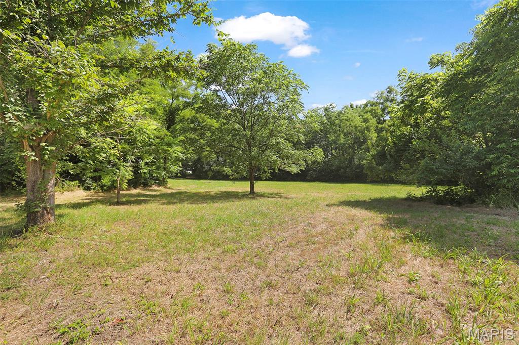 613 22nd Street Hillsboro, IL 62049 - Photo 29 of 36