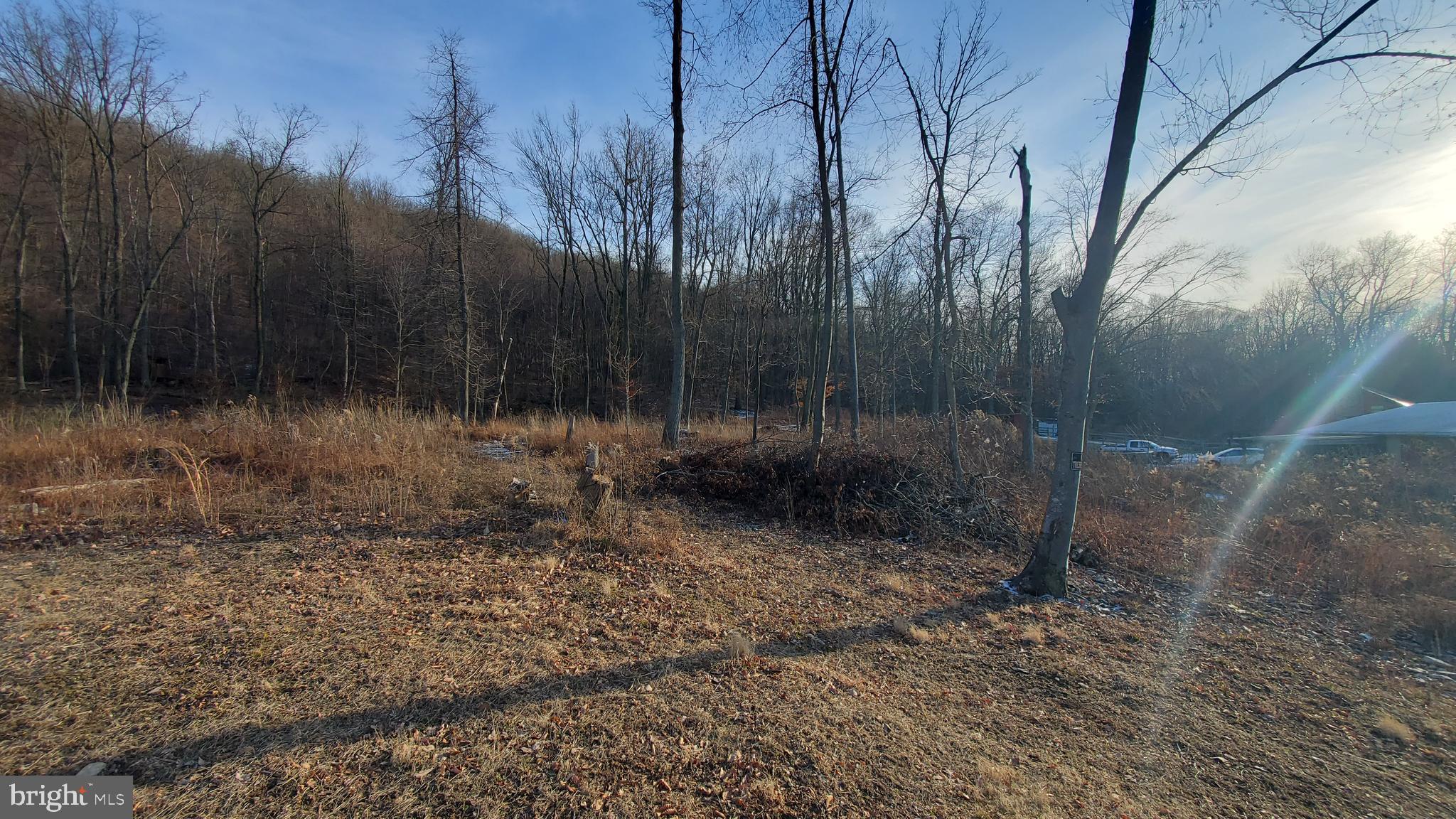 0 Rod And Gun Road Newmanstown, PA 17073 - Photo 2 of 9 a view of a forest