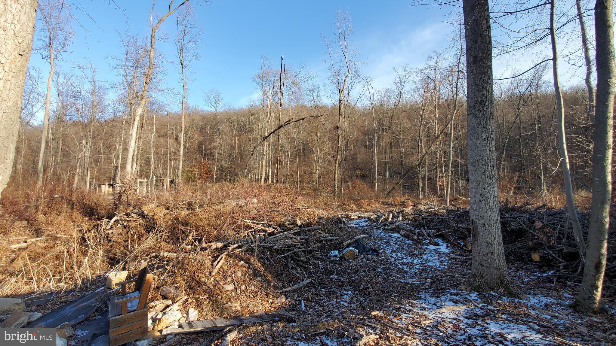 0 Rod And Gun Road Newmanstown, PA 17073 - Photo 5 of 9 a view of a backyard of a house