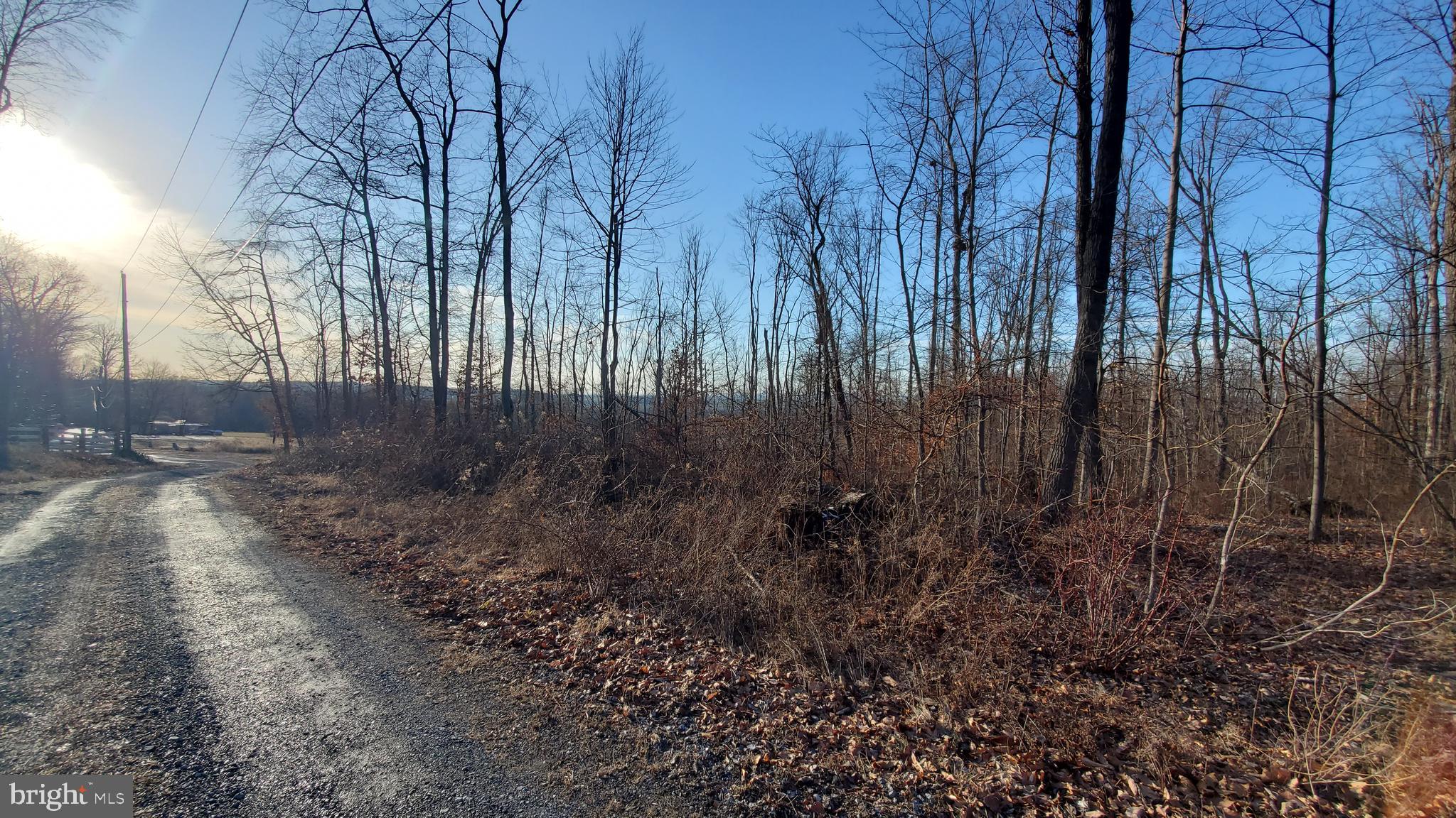 0 Rod And Gun Road Newmanstown, PA 17073 - Photo 7 of 9 a view of a yard