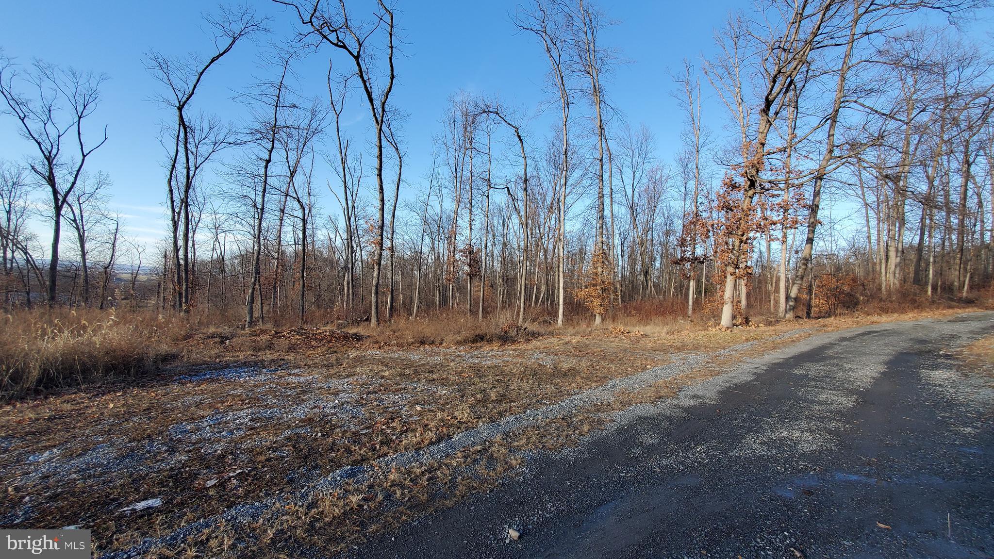 0 Rod And Gun Road Newmanstown, PA 17073 - Photo 8 of 9 a view of a yard with trees