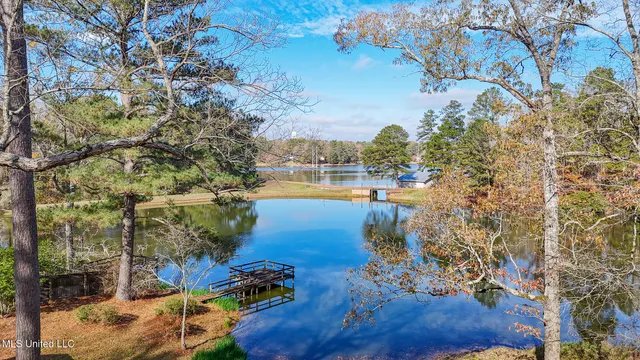 $235,000 | 214 Hickory Ridge Drive, Florence, MS 39073