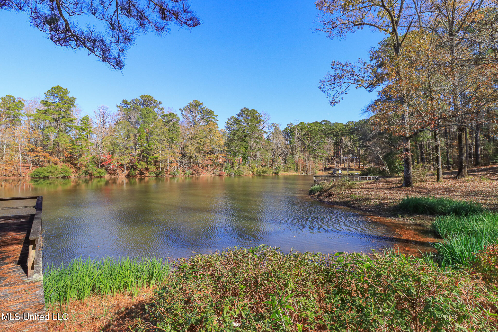 214 Hickory Ridge Drive Florence, MS 39073 - Photo 39 of 44 214 Hickory Ridge 48