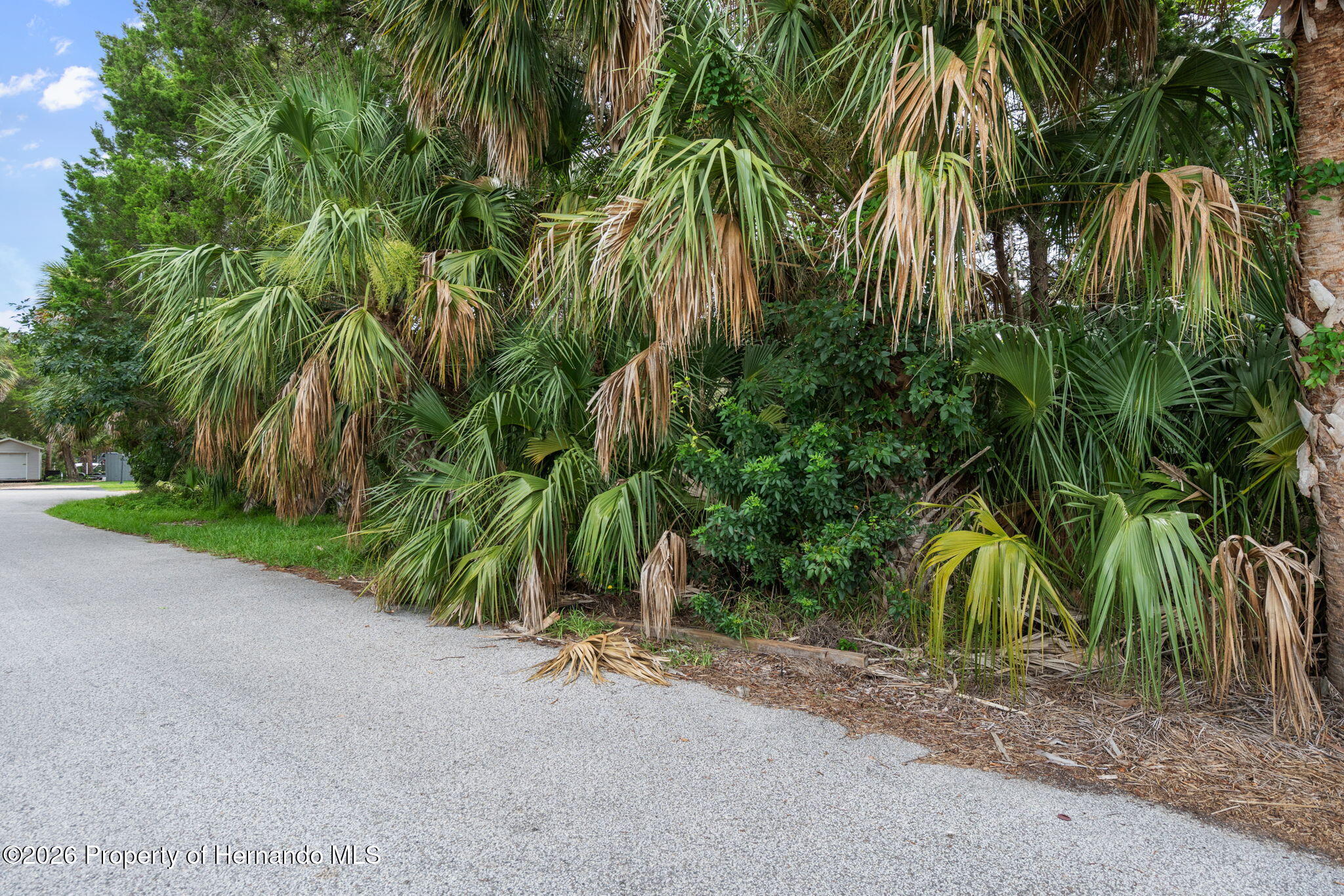 0 River Point Drive Weeki Wachee, FL 34607 - Photo 2 of 16