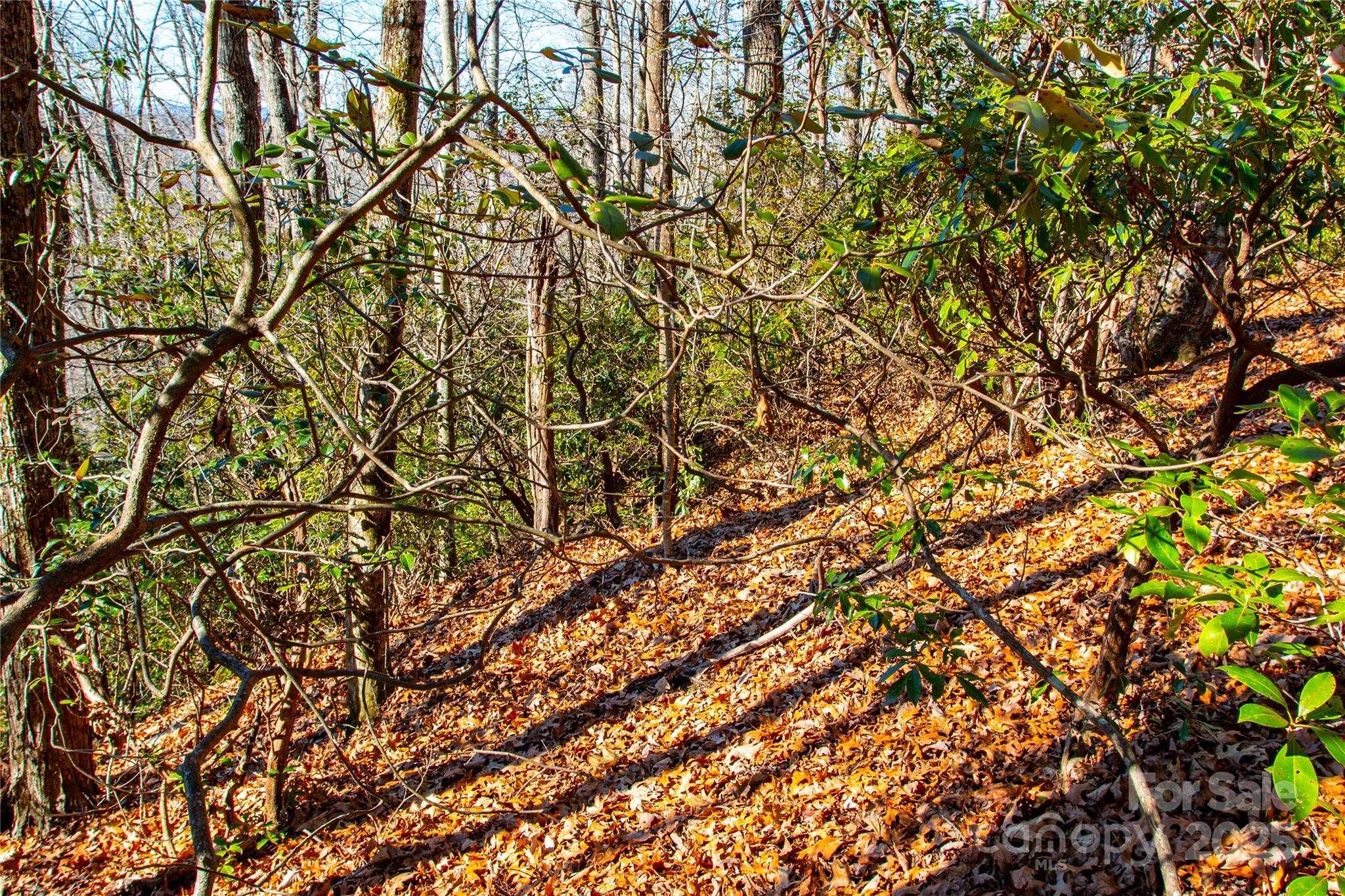 Lot 18 Joshua Road Rosman, NC 28772 - Photo 8 of 20