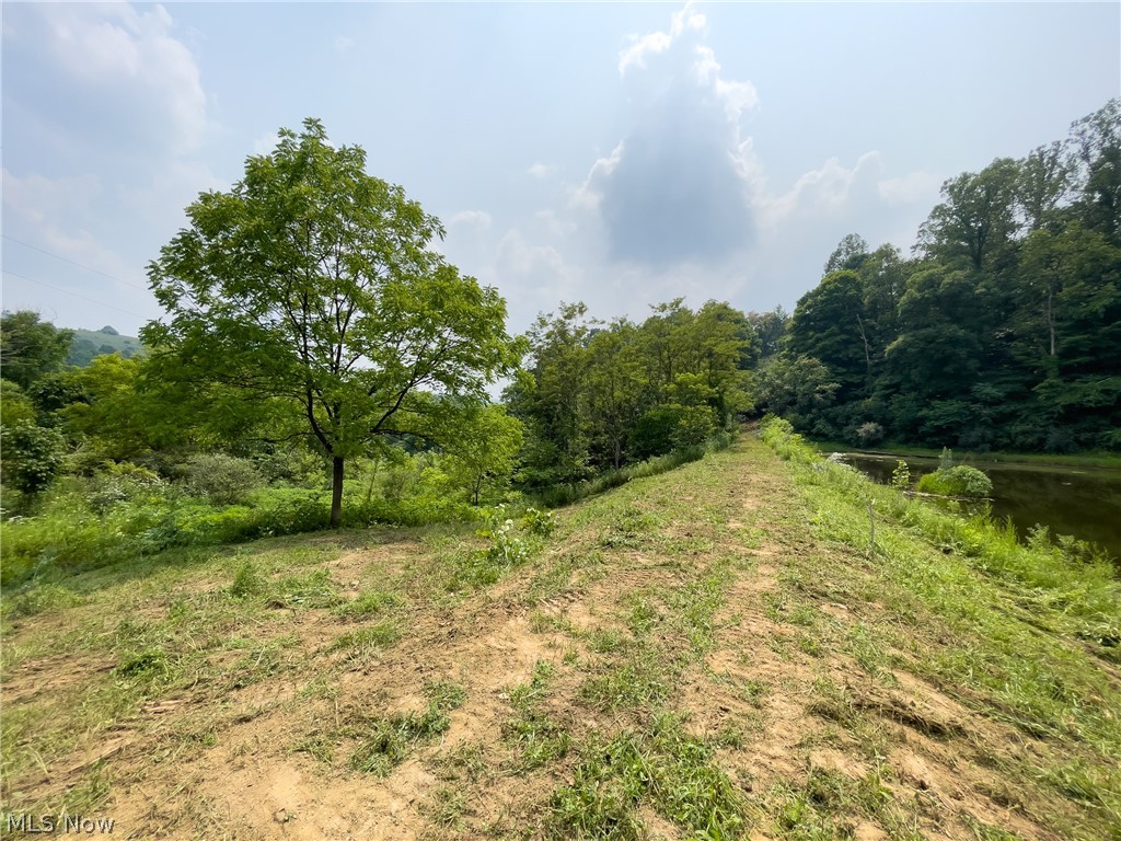 61854 Wine Road Quaker City, OH 43773 - Photo 11 of 32 Gallery Image 11