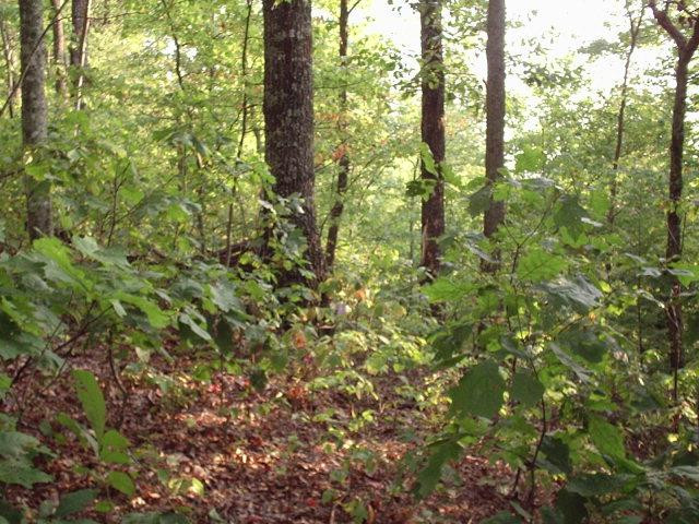 641 Bethel Rdg Road McKee, KY 40447 - Photo 1 of 1 Photo 1
