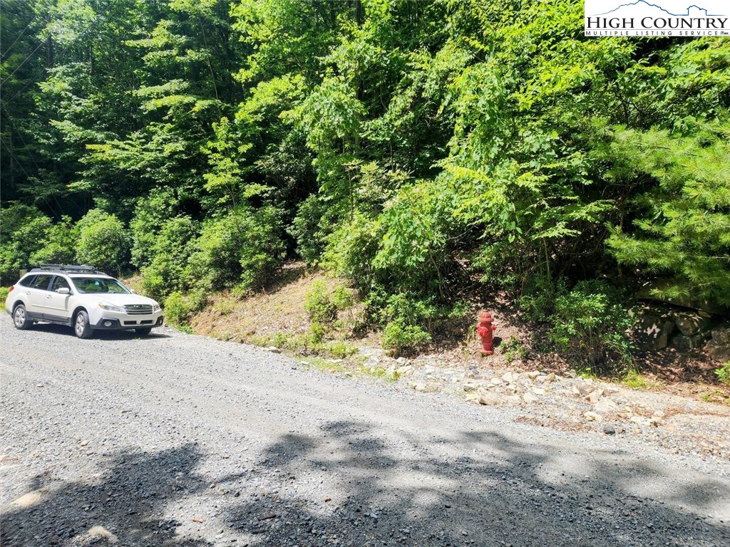 148 Rhododendron Drive Beech Mountain, NC 28604 - Photo 2 of 2